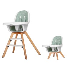 Стілець для годування CARRELLO Prego Ash Green KA12600