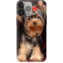 Чохол на iPhone 13 Pro Max Йоркширський тер'єр