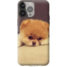 Чохол на iPhone 13 Pro Max Boo