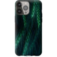 Чохол на iPhone 13 Pro Max Колоски