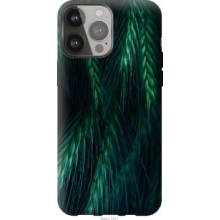 Чохол на iPhone 13 Pro Max Колоски