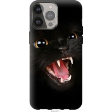 Чохол на iPhone 13 Pro Max Чорна кішка