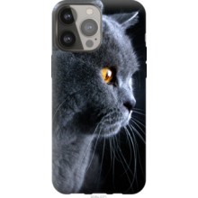 Чохол на iPhone 13 Pro Max Гарний кіт