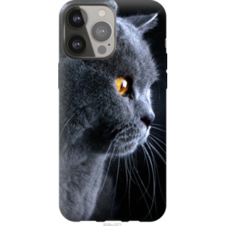 Чохол на iPhone 13 Pro Max Гарний кіт