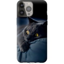 Чохол на iPhone 13 Pro Max Димчастий кіт